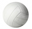 DCS Volleyball